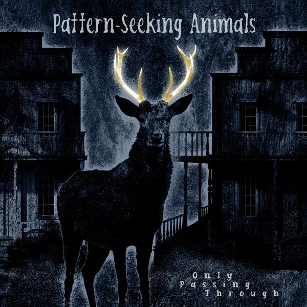 Pattern-Seeking Animals - Only Passing Through (Gatefold black 2LP+CD) InsideOut Music Germany  0IO02359