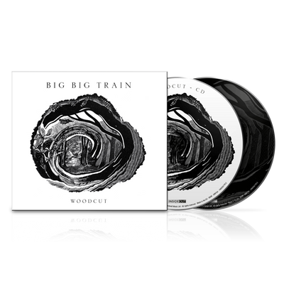 Big Big Train - Woodcut (Ltd. CD+Blu-ray Mediabook) InsideOut Music Germany  0IO02860