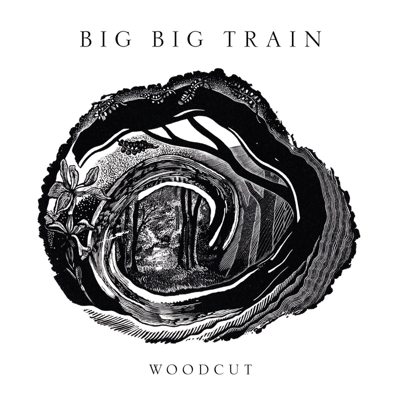 Big Big Train - Woodcut (Ltd. Gatefold Hawthorn White 2LP & LP-Booklet (white vinyl) InsideOut Music Germany 0IO02863