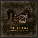 Jethro Tull - Curious Ruminant (Special Edition CD Digipak)