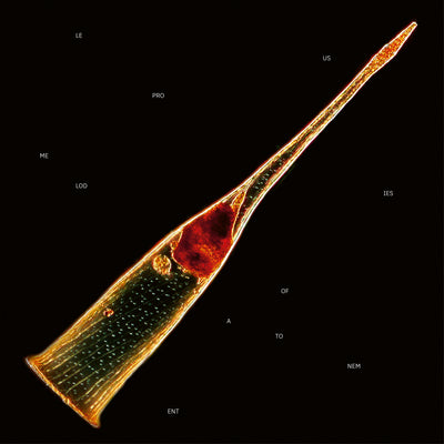 Leprous - Melodies Of Atonement (Ltd. CD Mediabook & Patch) InsideOut Music Germany  0IO02709